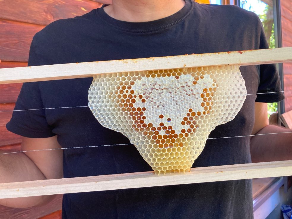 Bienenwabe in Herzform