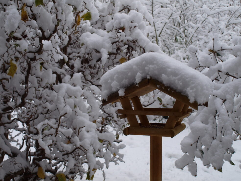 Vogelhaus im Schnee