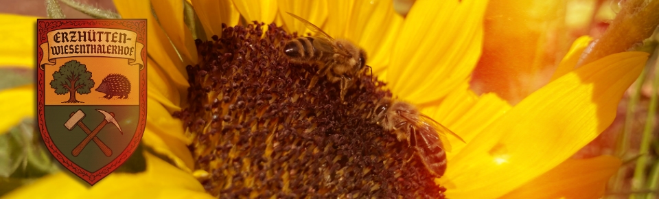 Das Foto zeigt das Wappen von Erzhütten-Wiesenthalterhof. Den Hintergrund bildet eine Sonnenblumen, auf der zwei Bienen sitzen.