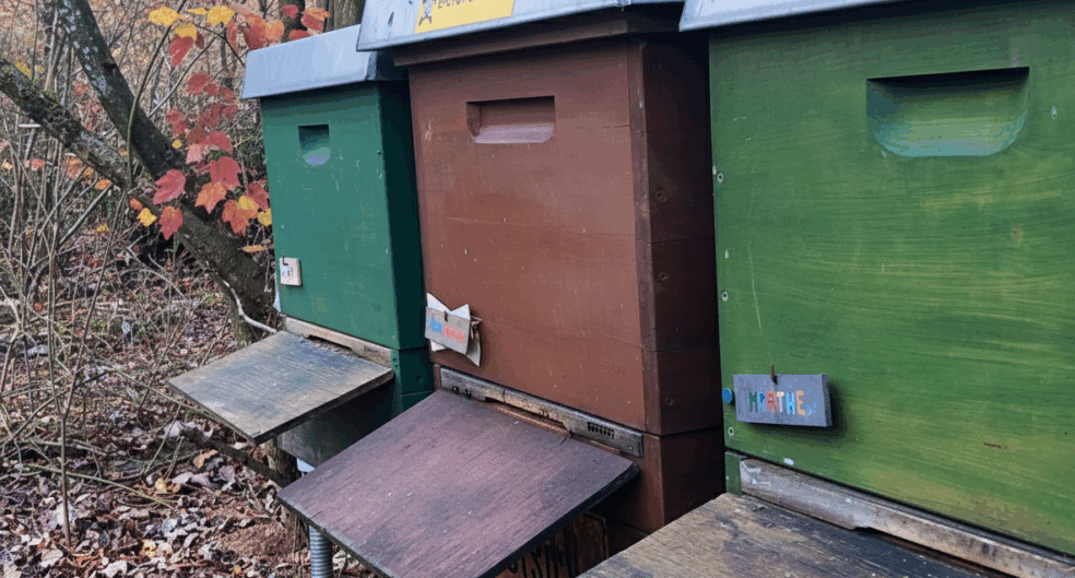 Bienenstand im Herbst
